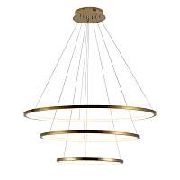 Подвесной светильник Loft IT Ring 10015/3 - цена и фото
