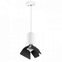 Подвесной светильник Lightstar RULLO HP16 RP436437 - цена и фото