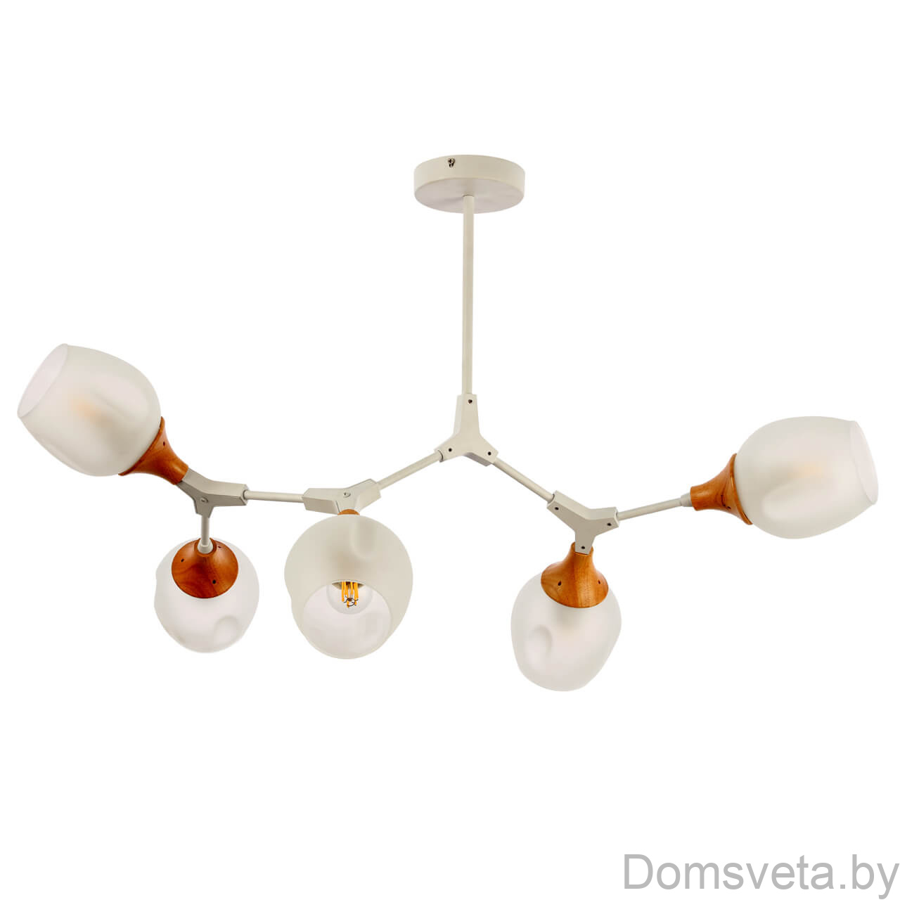Sale Потолочная люстра Evoluce Ciotolla SLE113502-05 - цена и фото